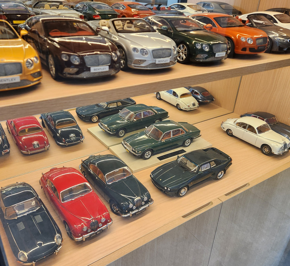 Automodels Indonesia